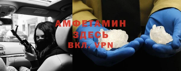 сатива Дмитров