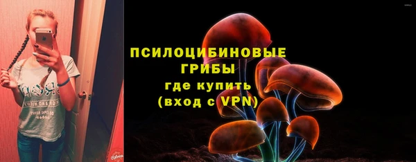 бошки Дмитровск