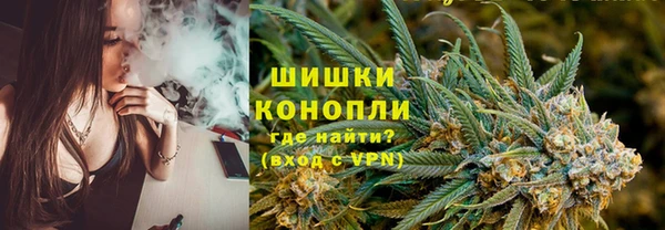 сатива Дмитров