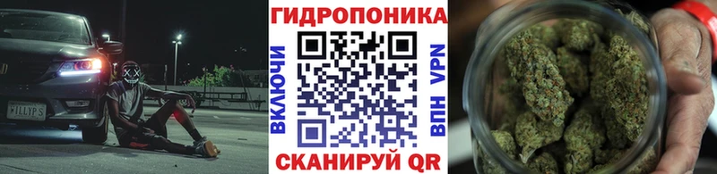 Марихуана семена Певек